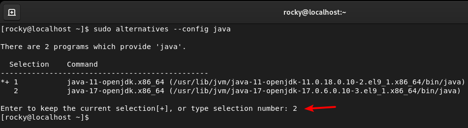 change the java version on rocky linux